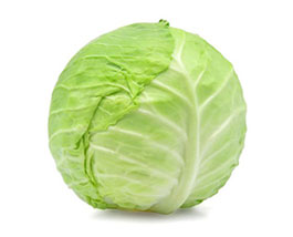 Cabbage