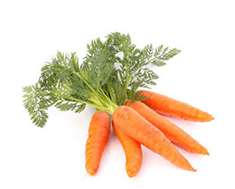Carrot